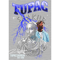 idol singer-GS  2071